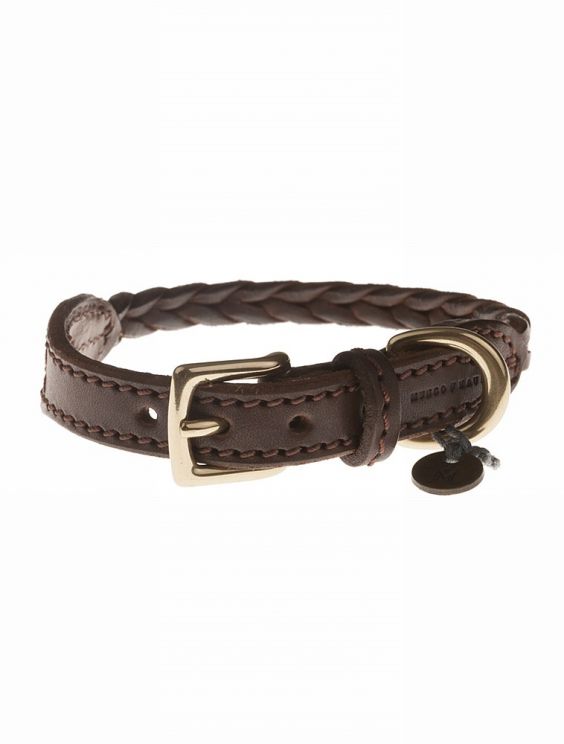 Plaited Leather Lead With Collar - Greyhound and Petworld