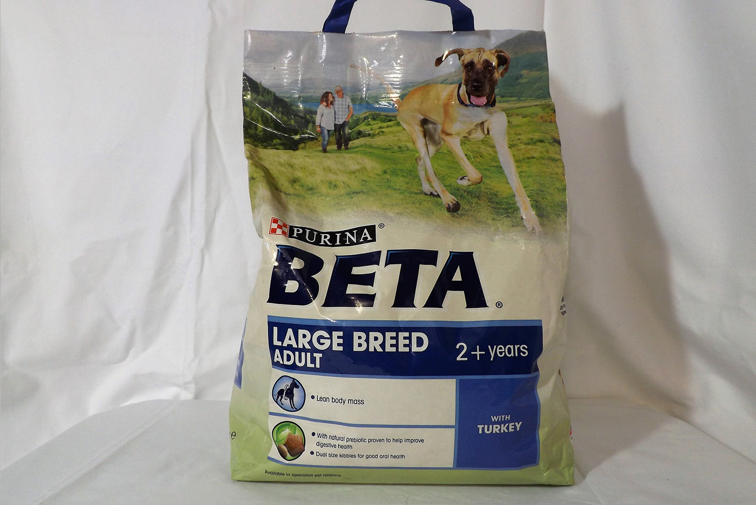 beta large breed