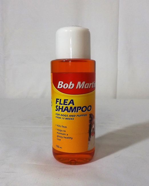 bob martin flea shampoo small