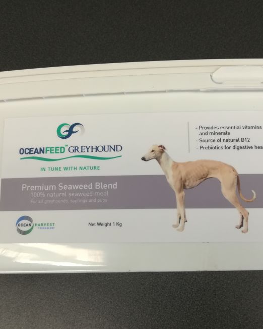 Oceanfeed Greyhound feed with seaweed