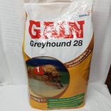 Gain Greyhound 28%