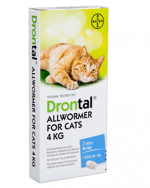 drontal for cats